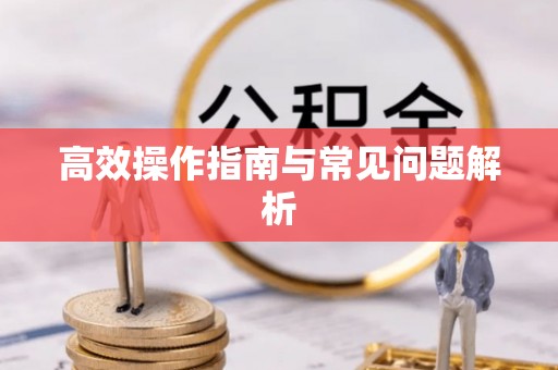 隆德高效操作指南与常见问题解析