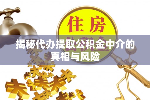 南陵揭秘代办提取公积金中介的真相与风险