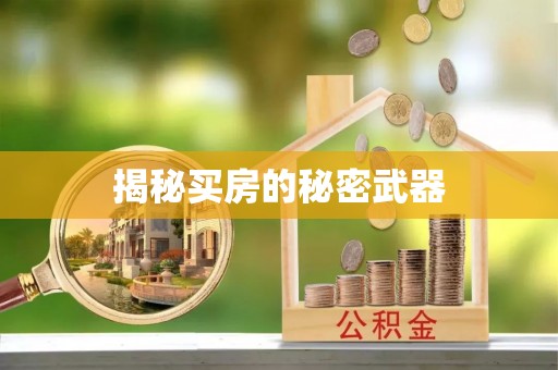 内门揭秘买房的秘密武器