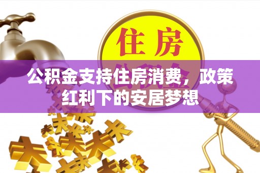 琉球公积金支持住房消费，政策红利下的安居梦想