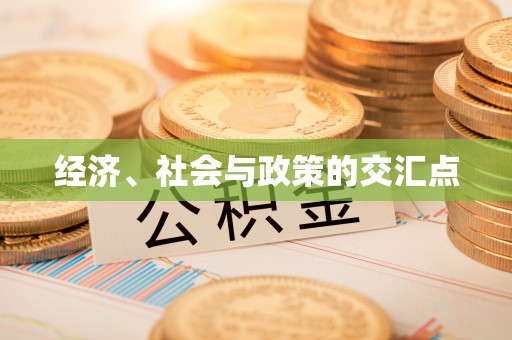 中卫经济、社会与政策的交汇点