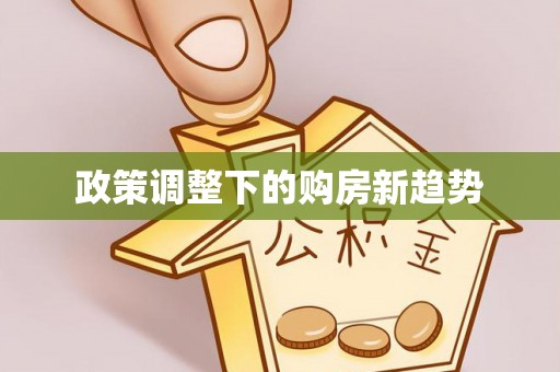 琼结政策调整下的购房新趋势